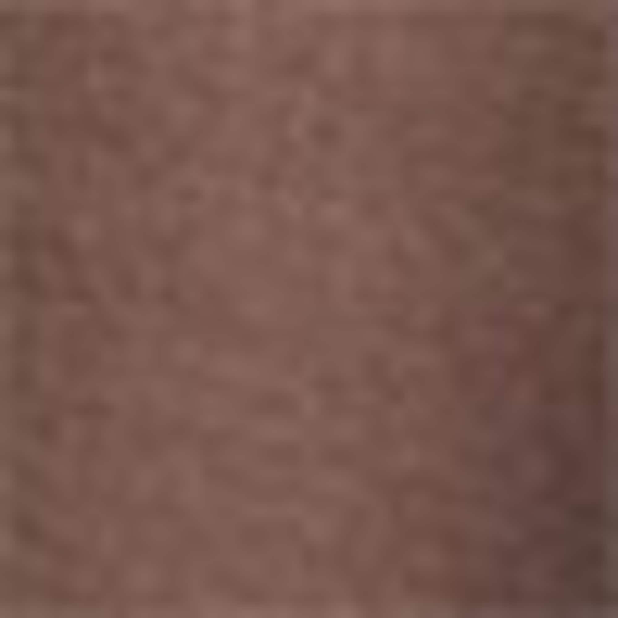 Sweat shorts brown