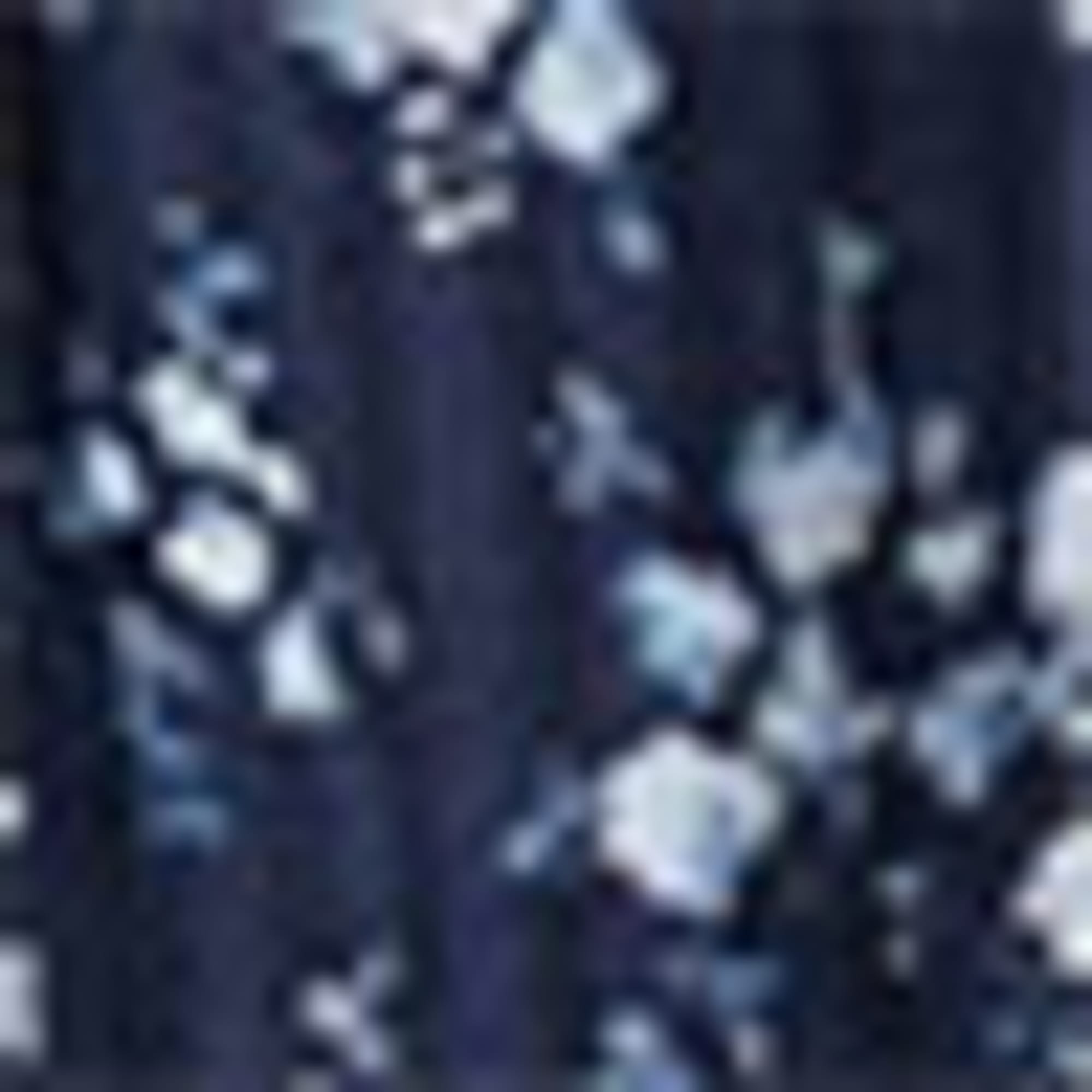Blouse - floral blue / white (2)