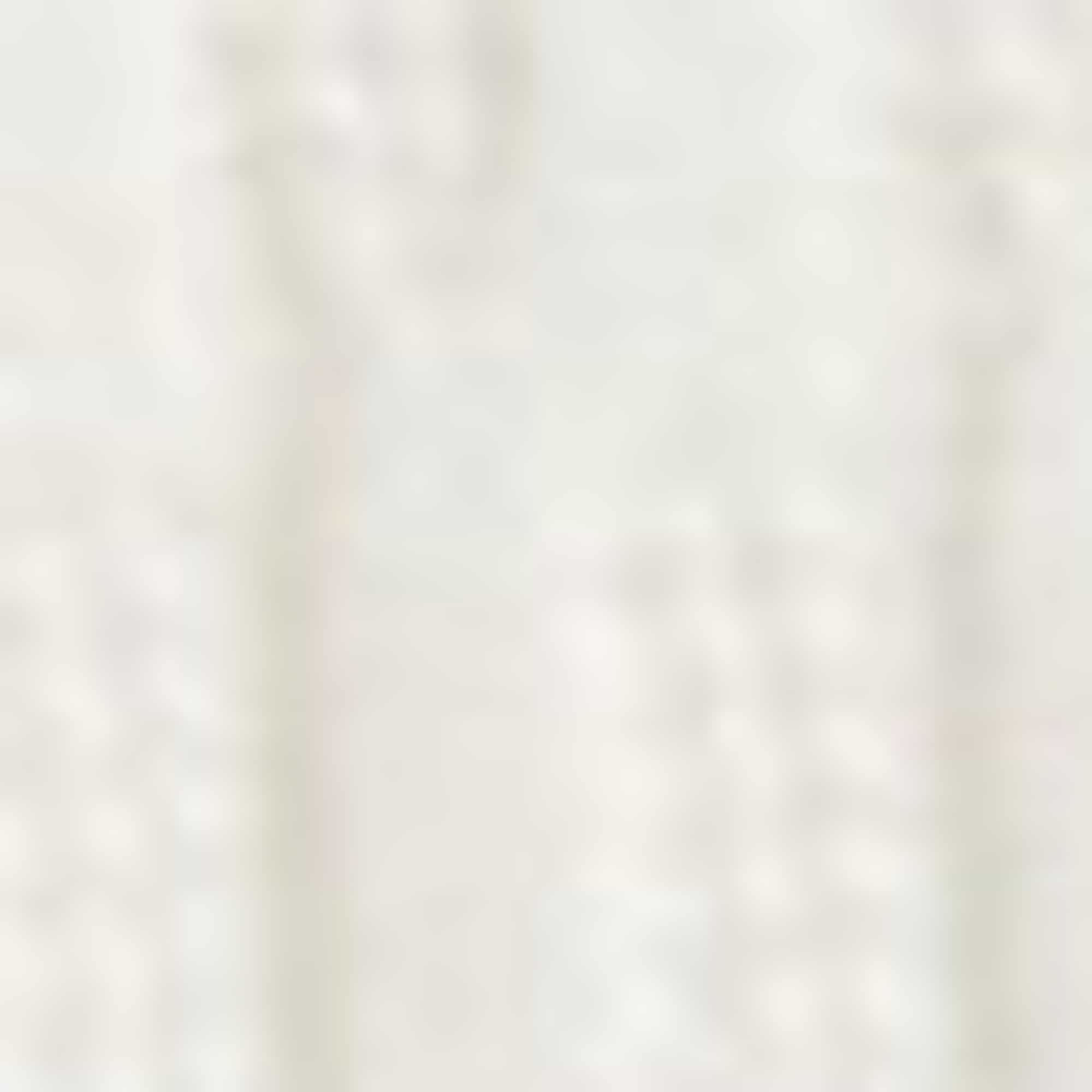 Cardigan - cable knit pattern white