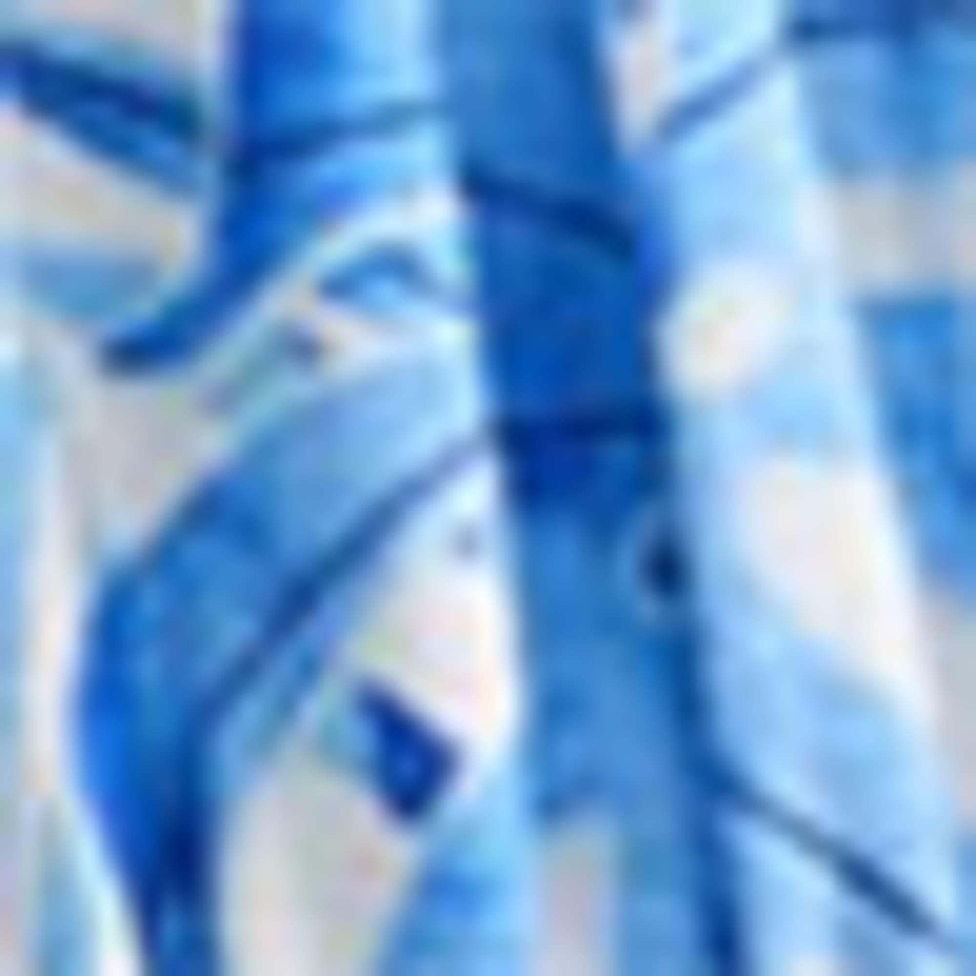 Plant - dress blue