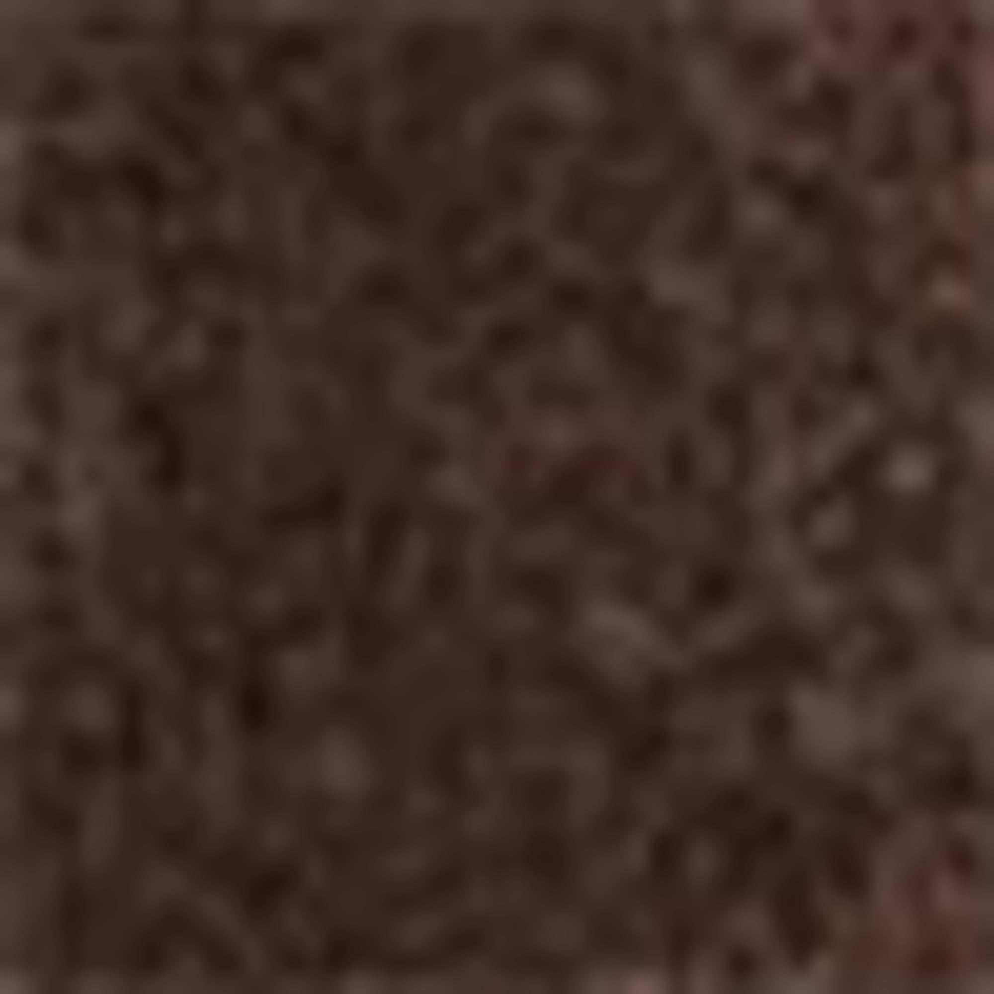 Long cardigan Cocoa