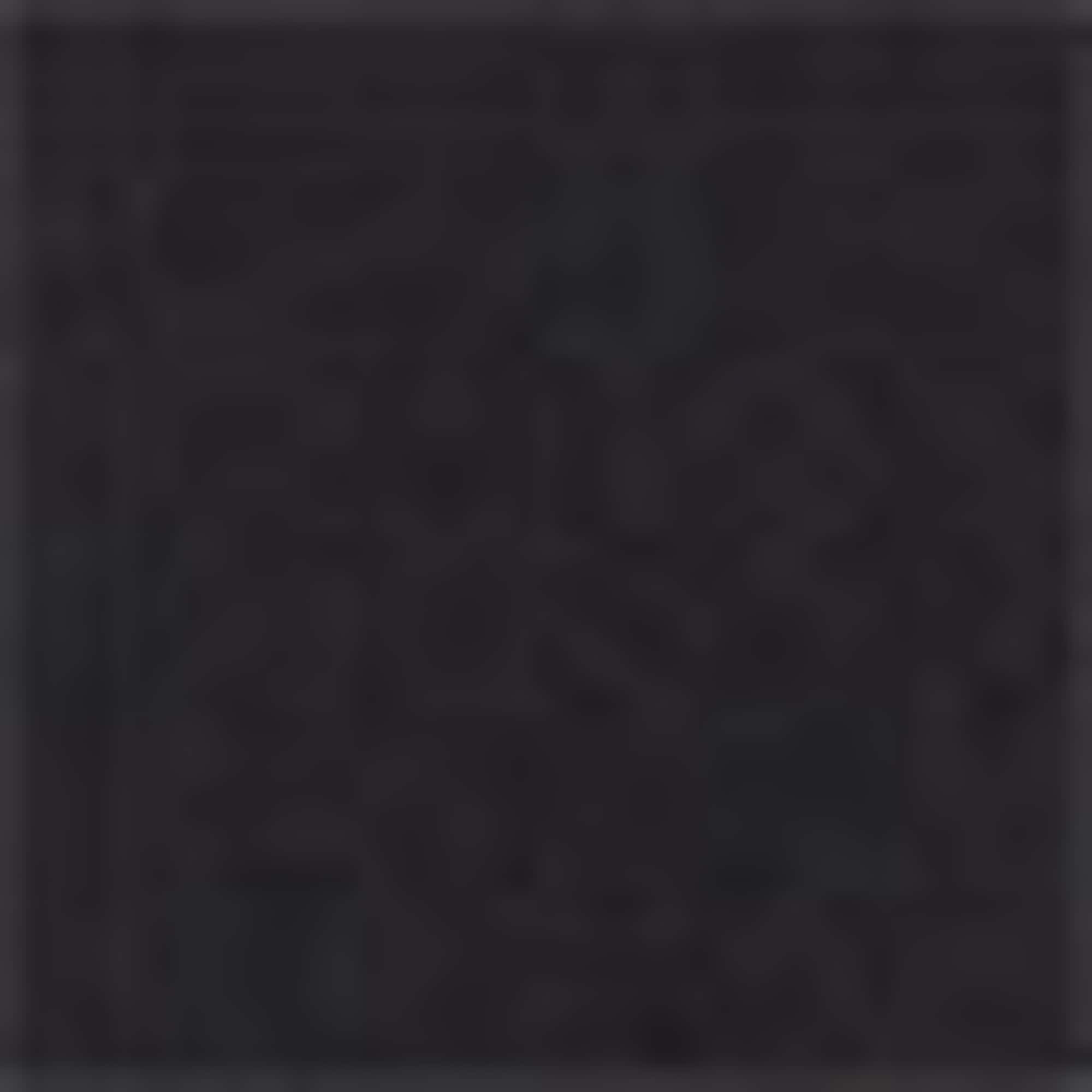 CapyFun - short sleeve T-shirt black