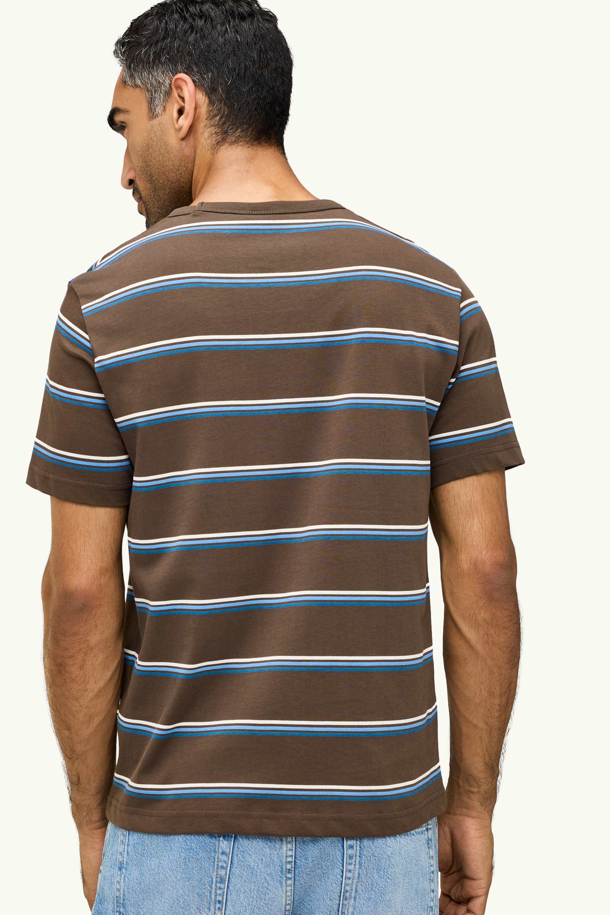 T-shirt - regular fit - striped brown / blue