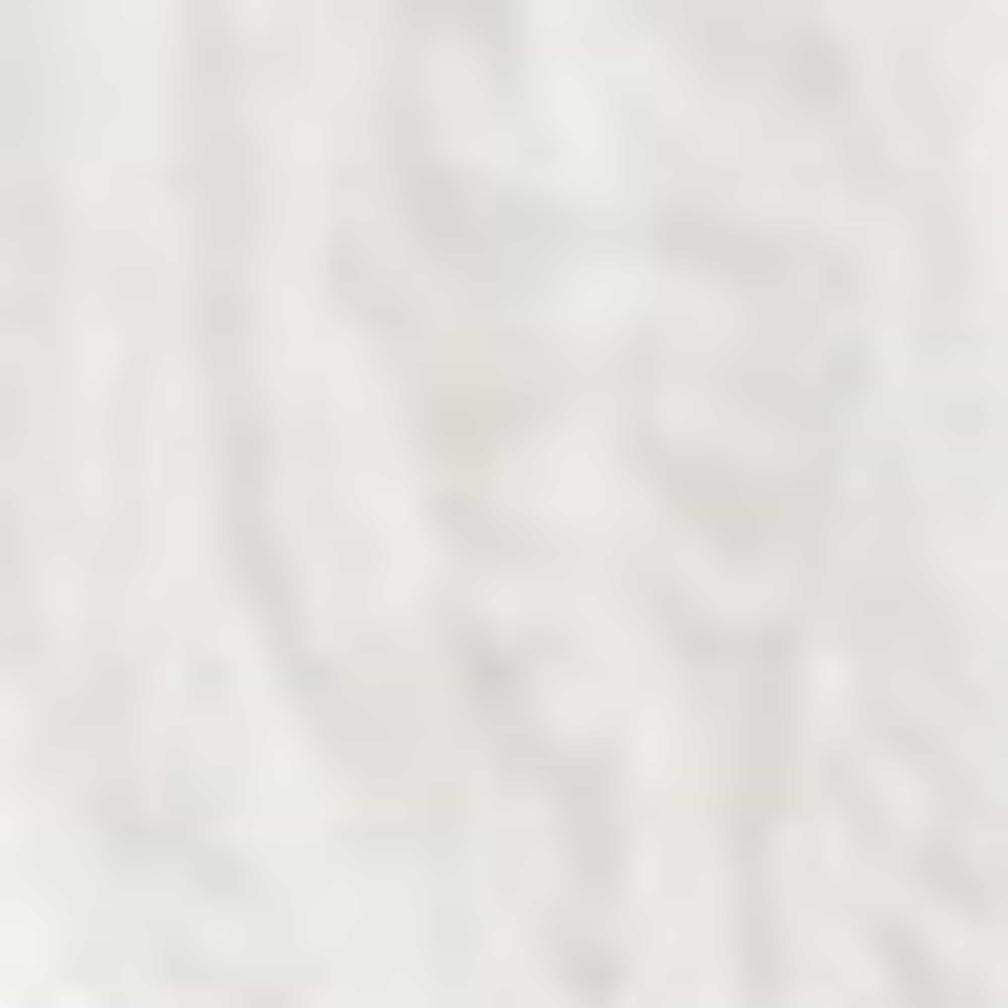 Top - smocked - broderie anglaise white