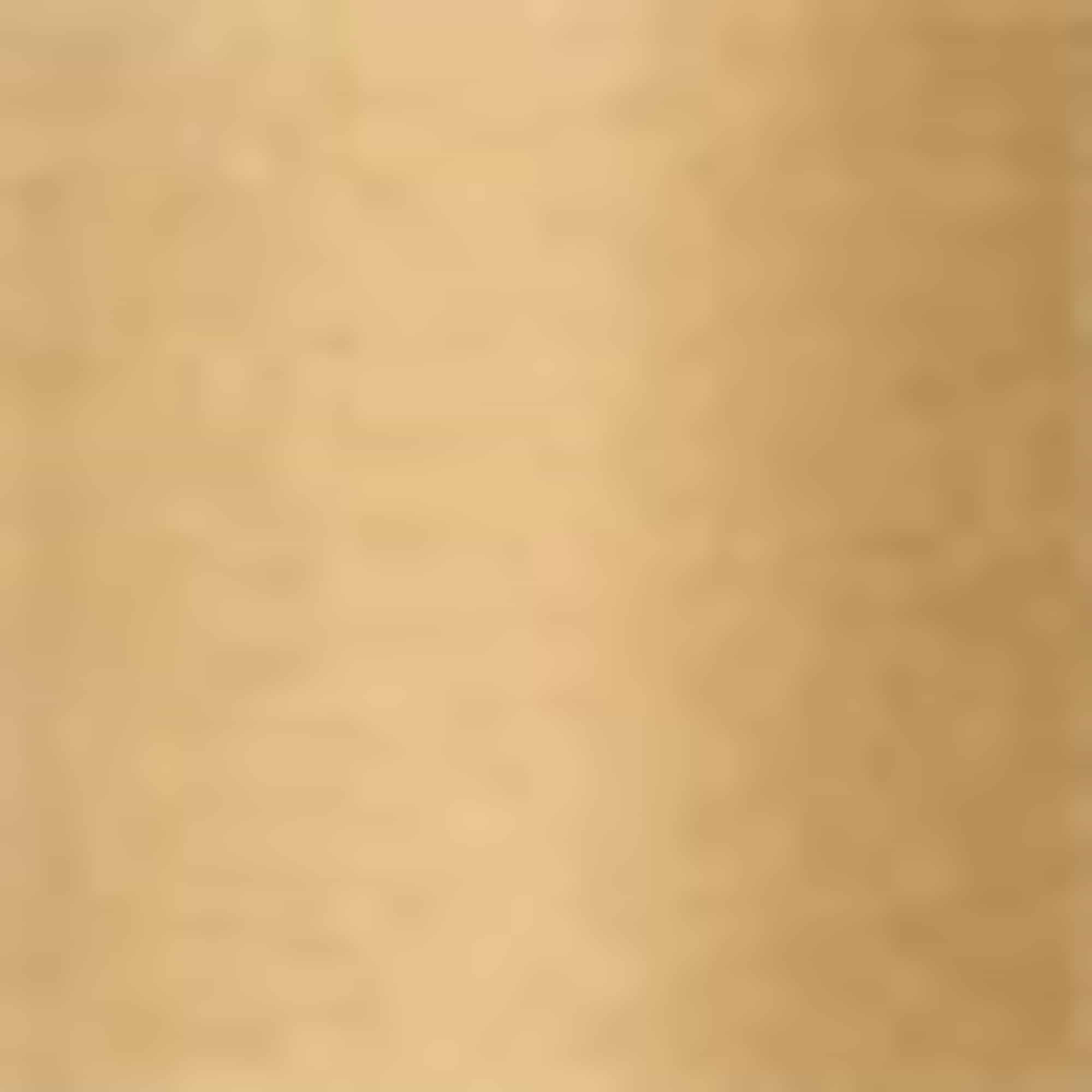 T-shirt - relaxed fit light brown