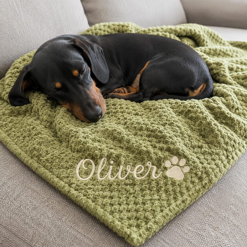 Custom Embroidered Pet Name Blanket