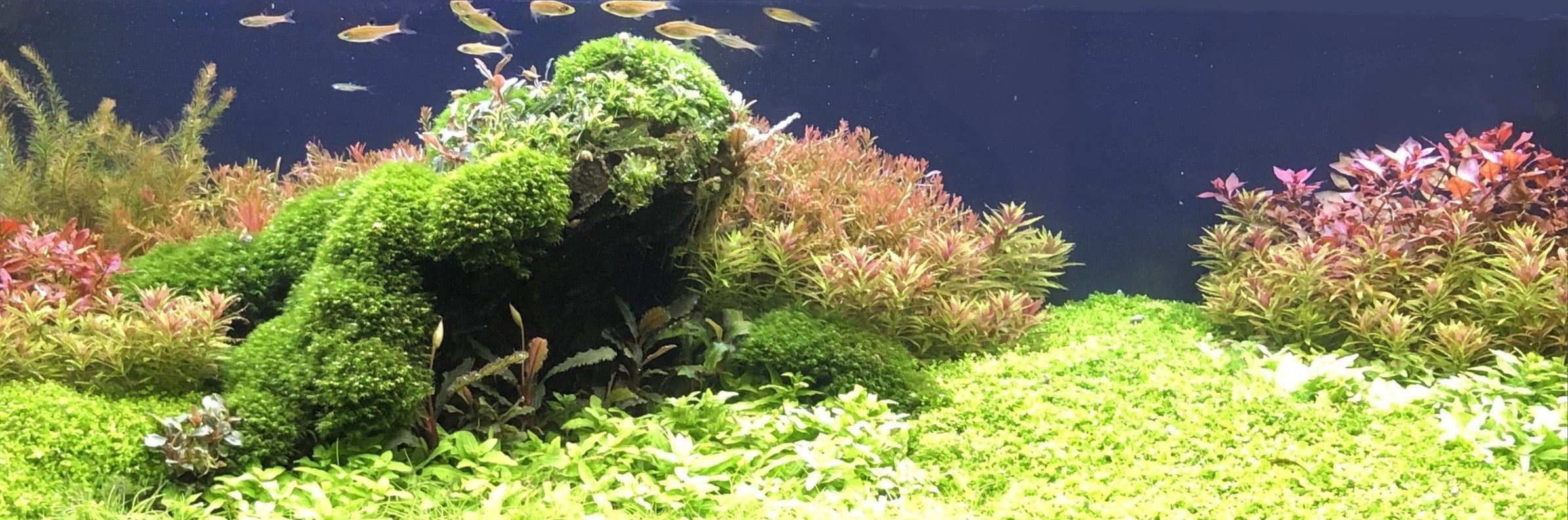 Bio Media Bags for Aquarium