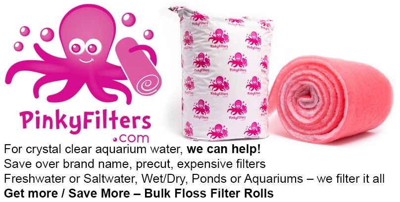 PinkyFilters.com