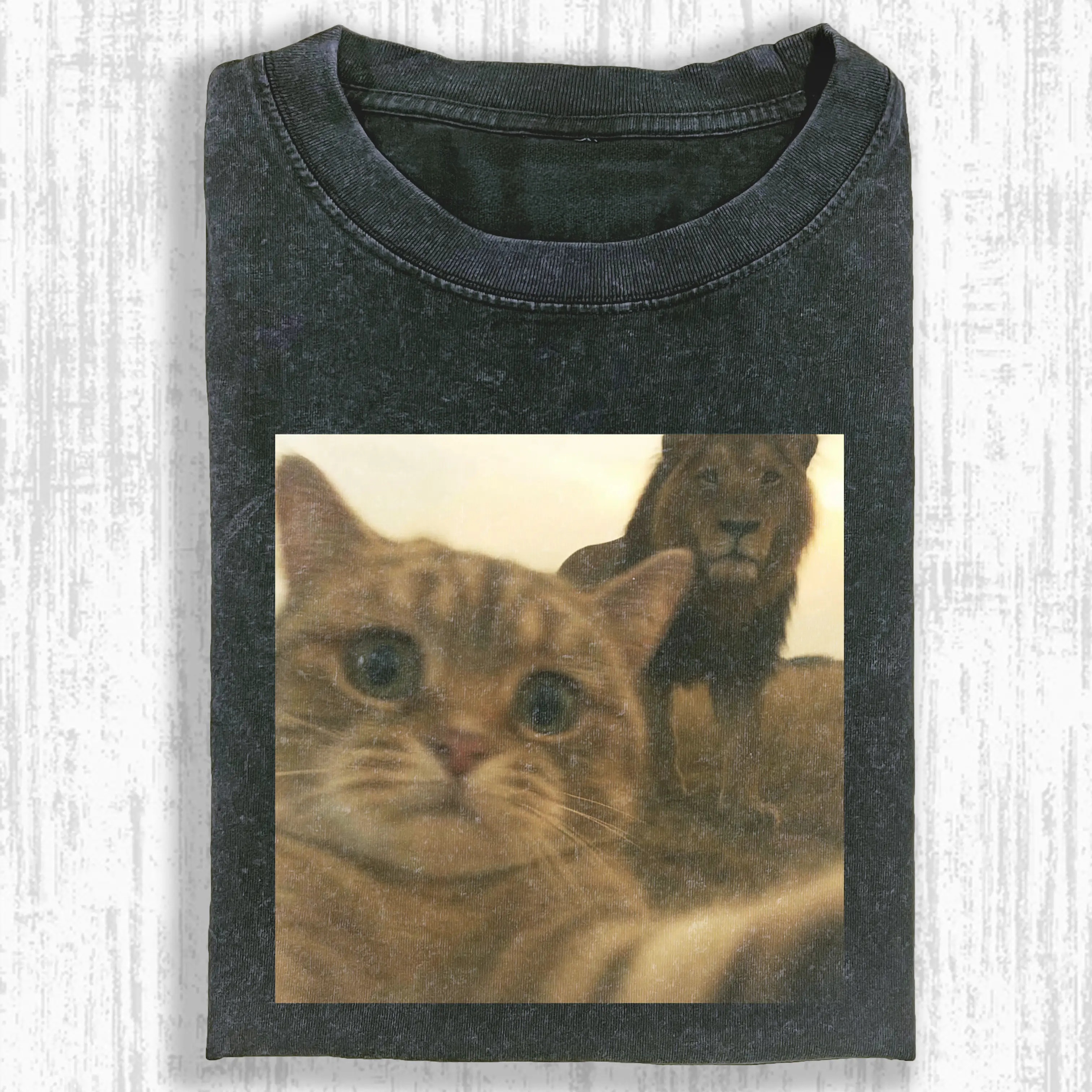 Cat Selfie With Lion Meme T‑Shirt