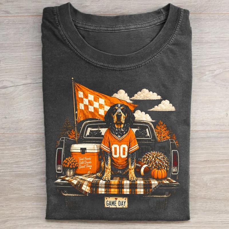 Rocky top Tennessee T-shirt