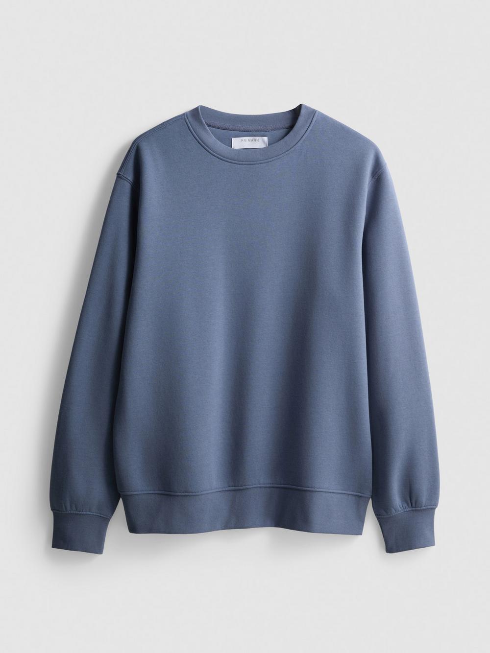 Regular Fit Sweatshirt - Blue