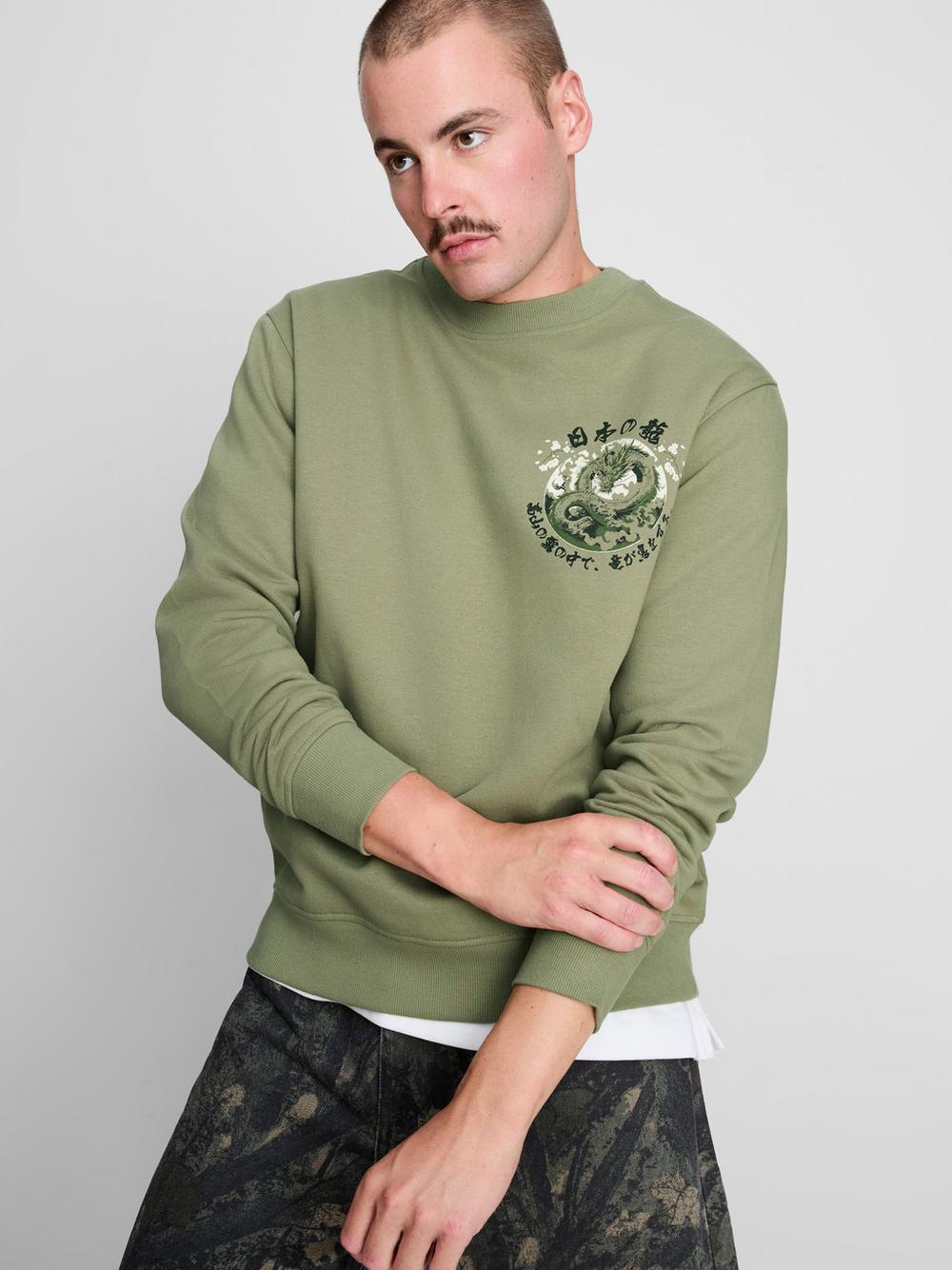 Cotton-Blend Dragon Sweatshirt - Green