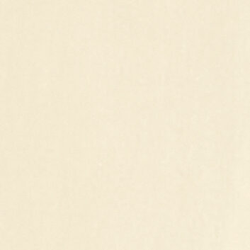 COTTON BARREL-LEG UTILITY PANTS - CREAM
