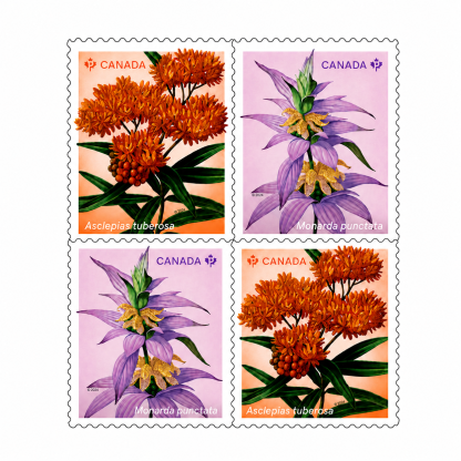 Wildflowers coil of 50 Permanent™ stamps - 100Pcs