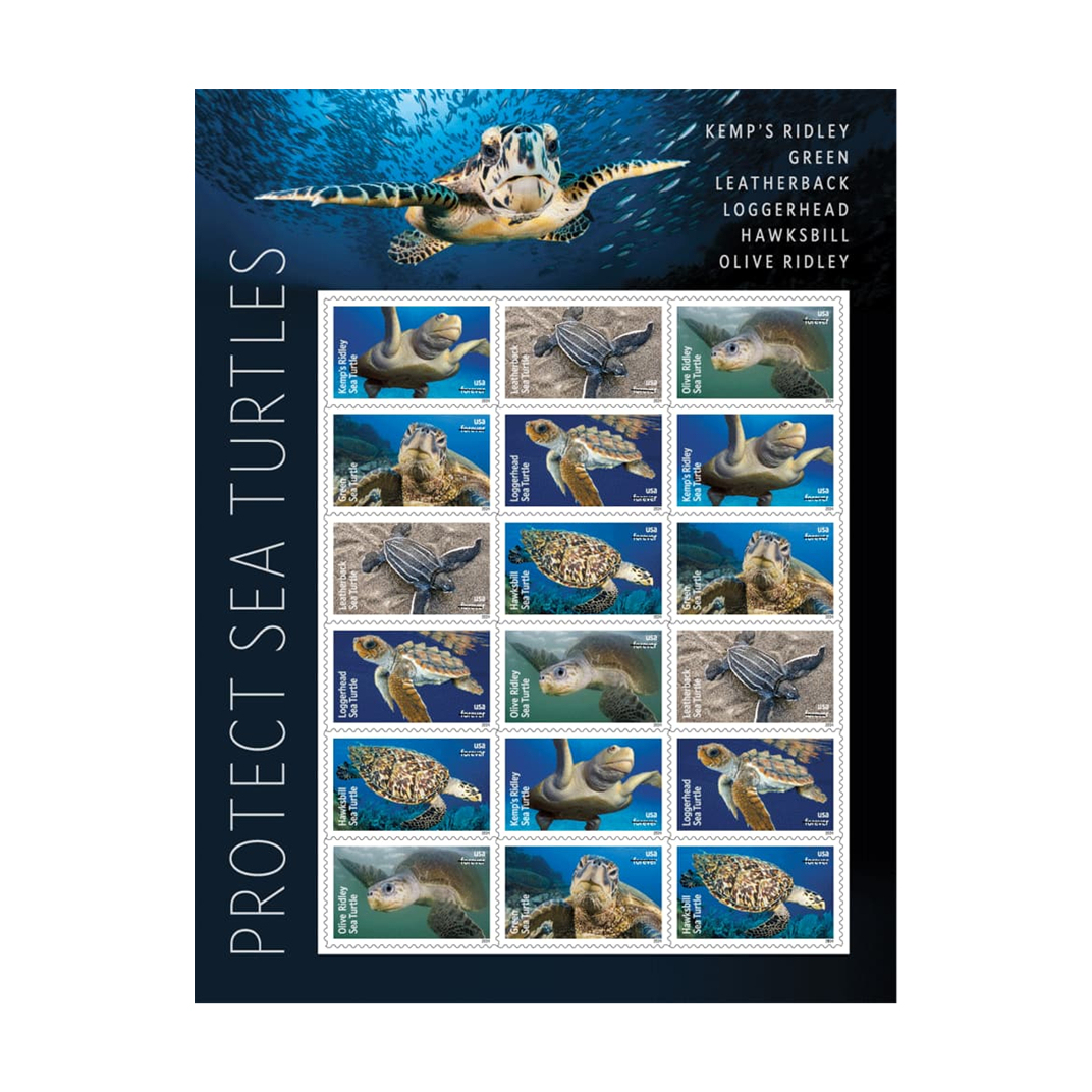 Protect Sea Turtles Stamps of 2024
