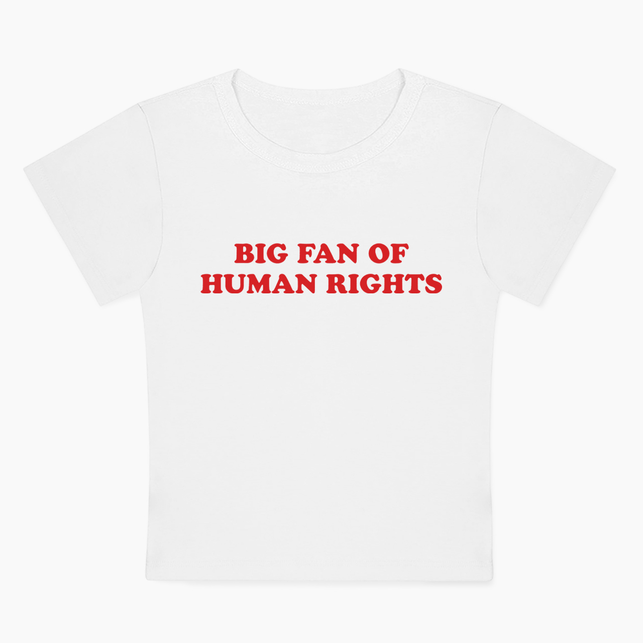 Big Fan Of Human Rights Baby Tee