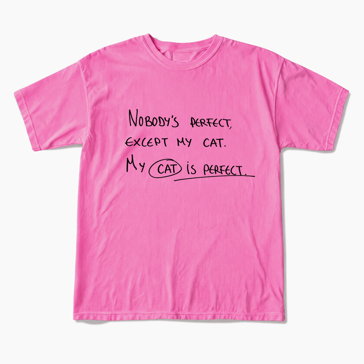 My Cat Is Perfect T Shirts