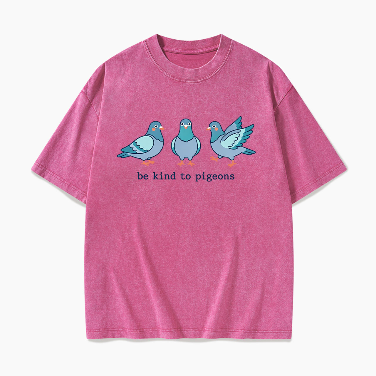 Be Kind to Pigeons Washed Tees