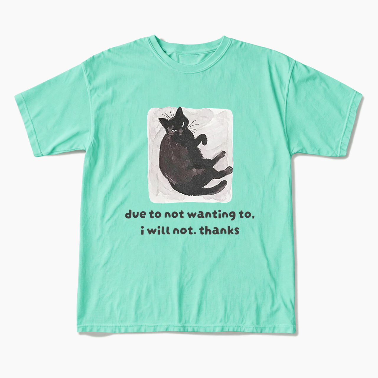 Due To Not Wanting To I Will Not Thanks T Shirts