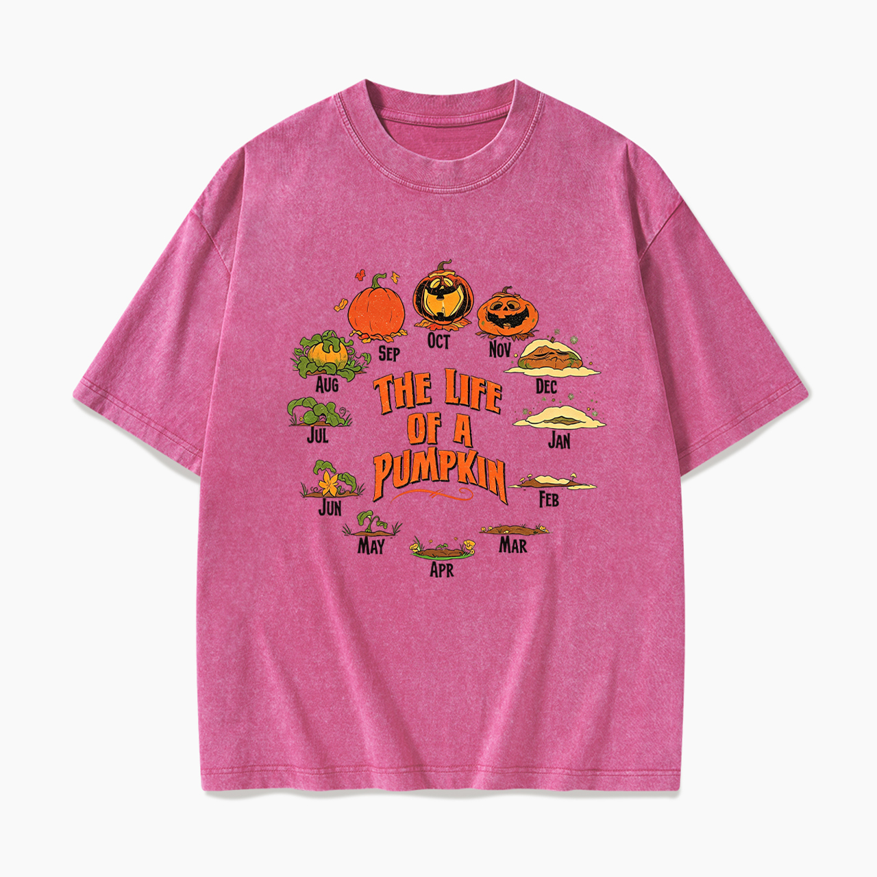 The Life of A Pumpkin Halloween Washed Tees
