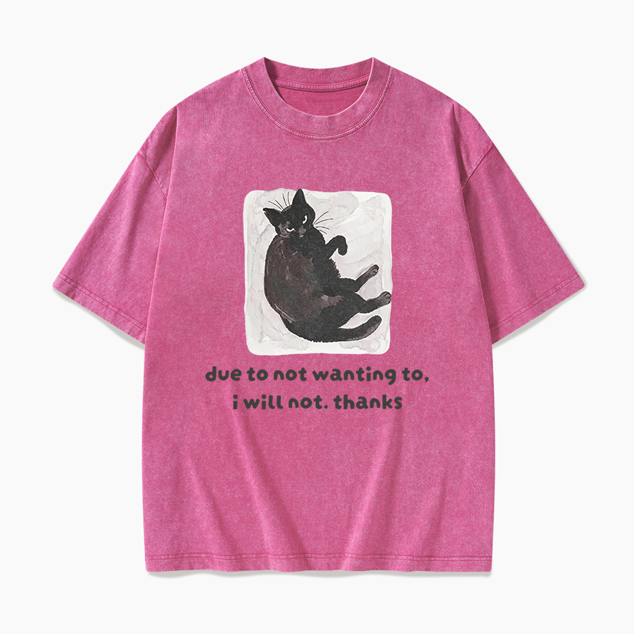 Due To Not Wanting To I Will Not Thanks Washed Tees