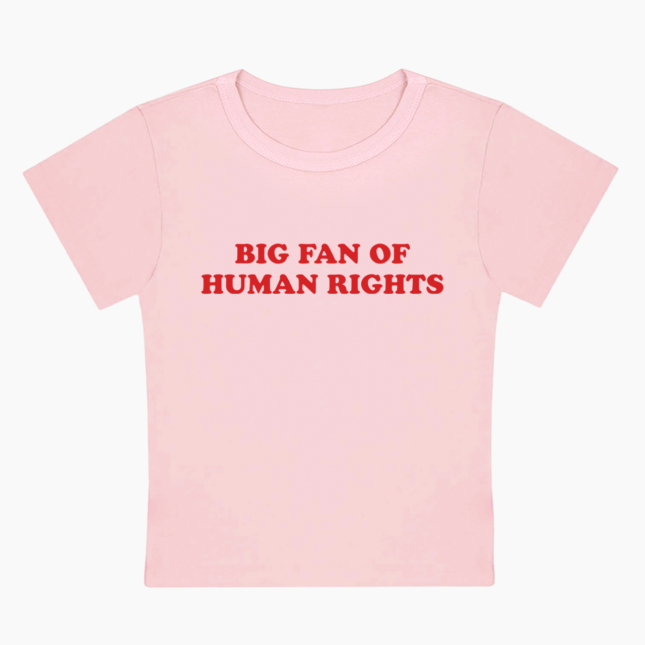 Big Fan Of Human Rights Baby Tee