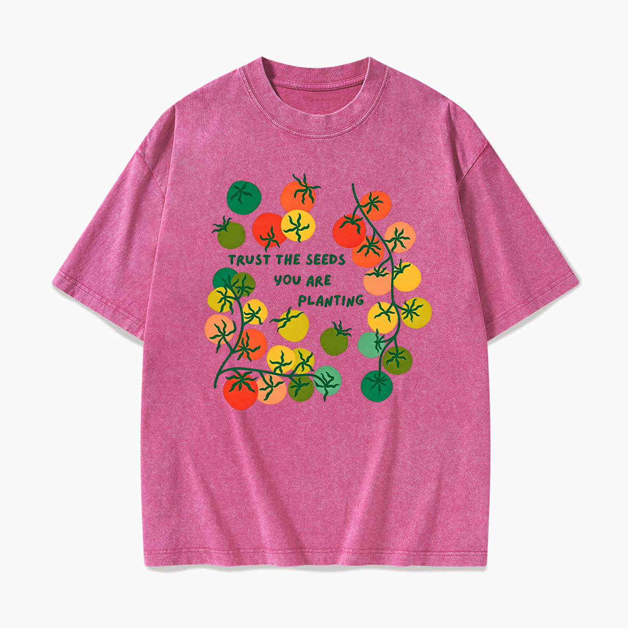 Trust The Seeds You Are Planting Washed Tees