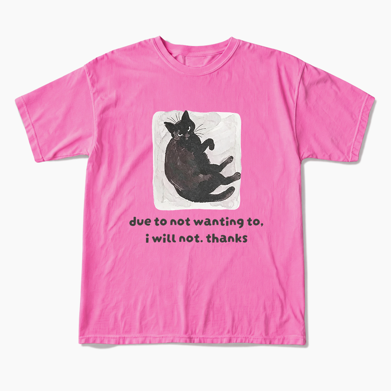 Due To Not Wanting To I Will Not Thanks T Shirts