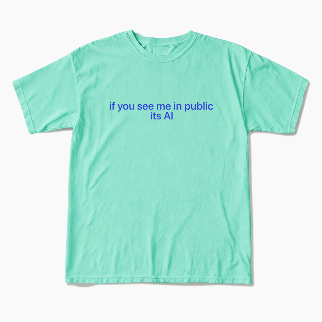 If You See Me In Public Its Al T Shirts