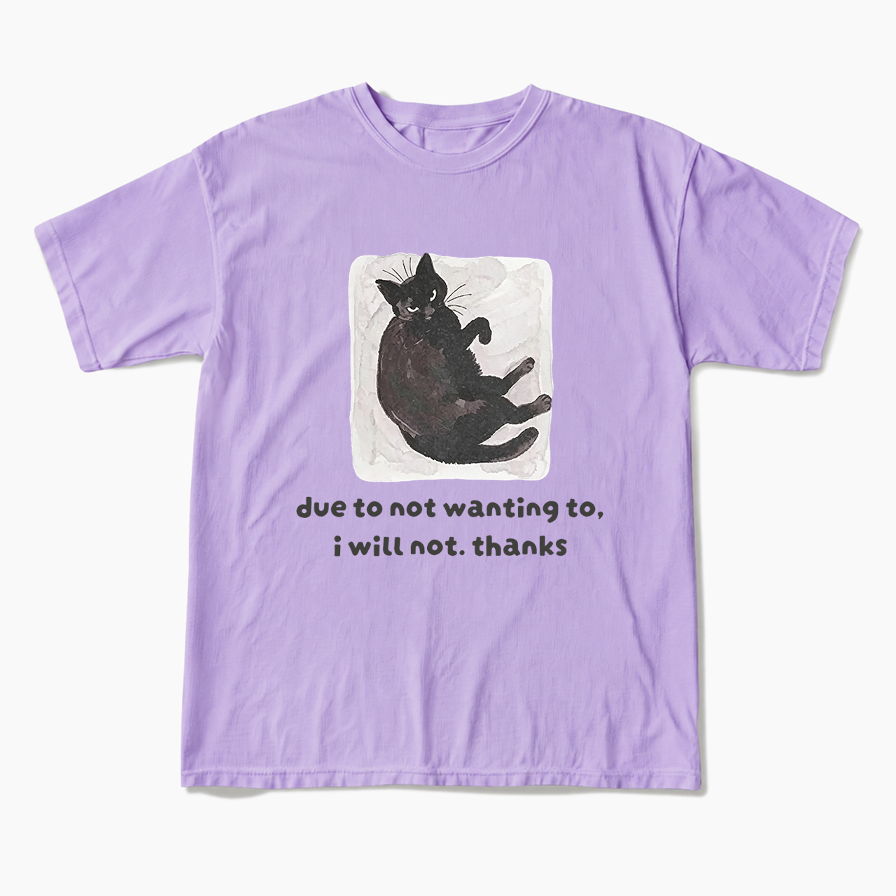 Due To Not Wanting To I Will Not Thanks T Shirts