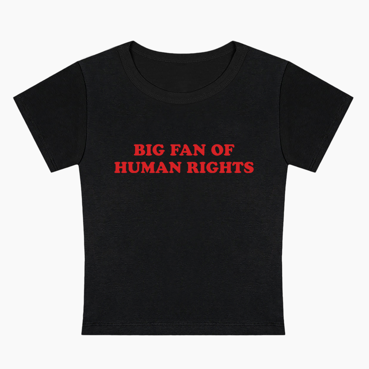 Big Fan Of Human Rights Baby Tee