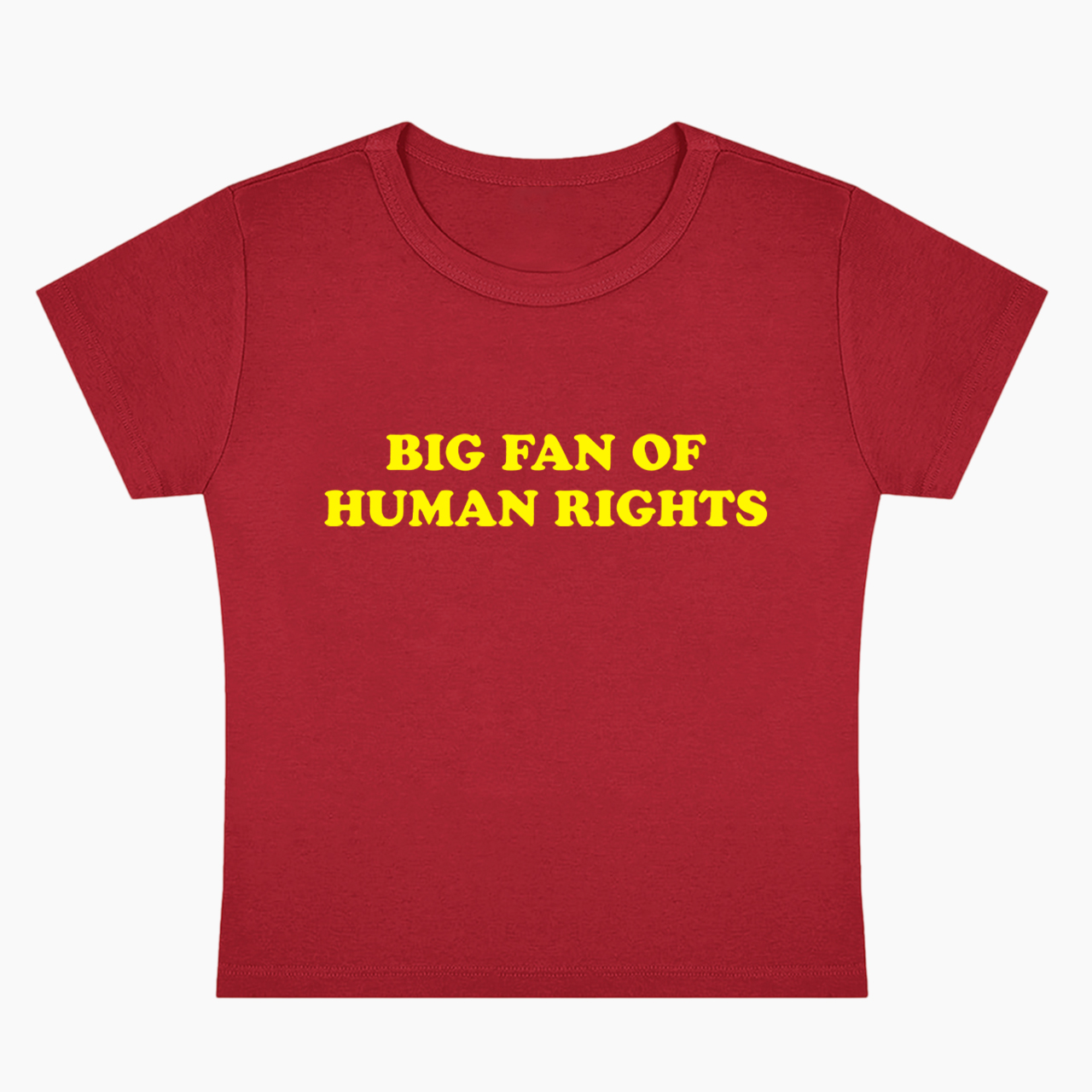 Big Fan Of Human Rights Baby Tee