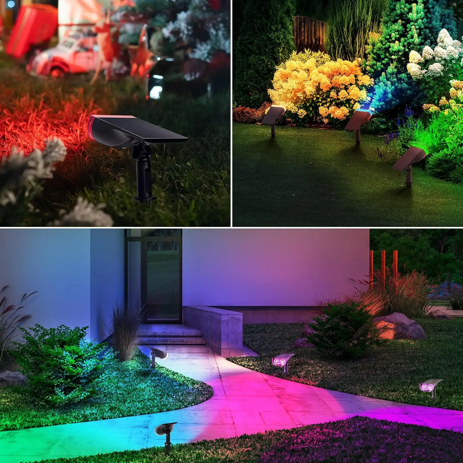 Color-changing solar spotlights illuminating a landscaped yard