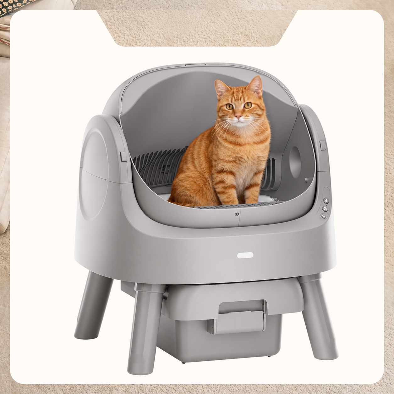 Open-top automatic litter box in a modern home
