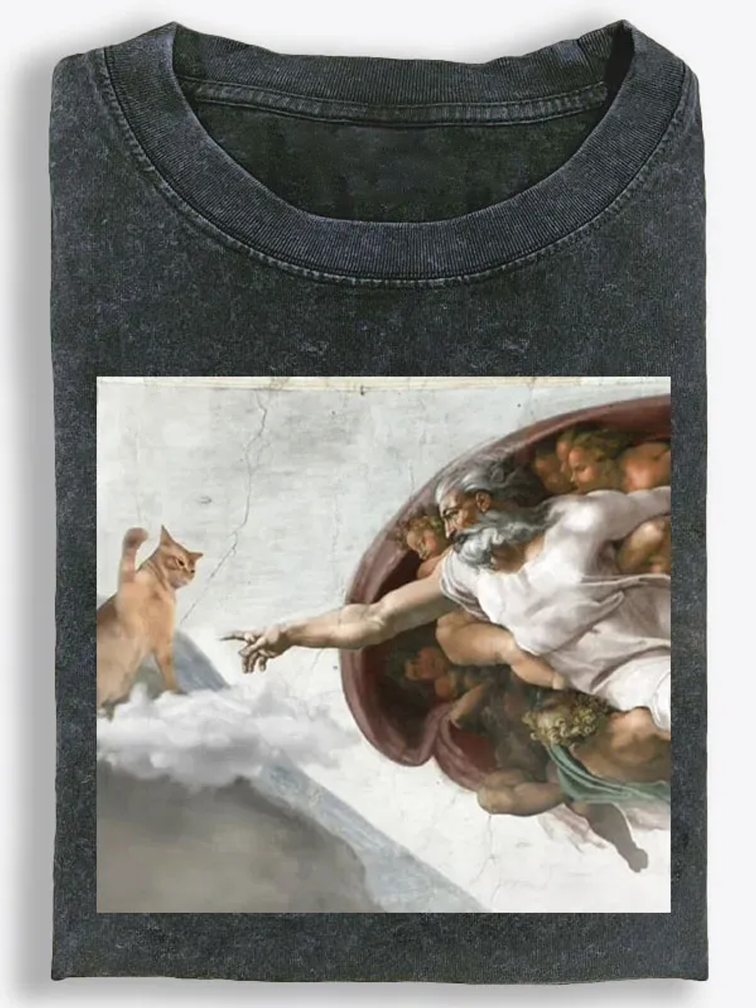 Creation of Cat Vintage Washed T-Shirt