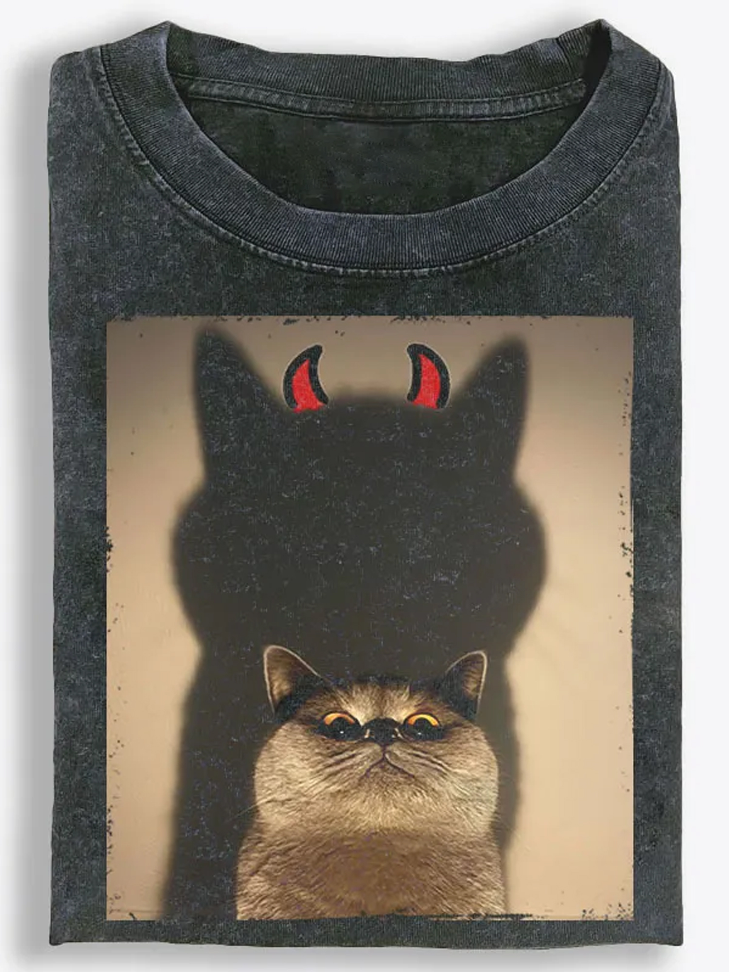Devil Shadow Cat Vintage Washed T-Shirt