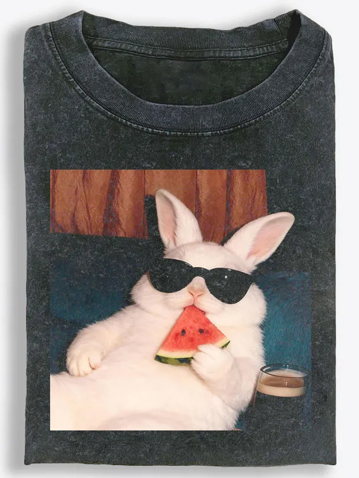 Vintage Washed T-Shirt| RetroClaws