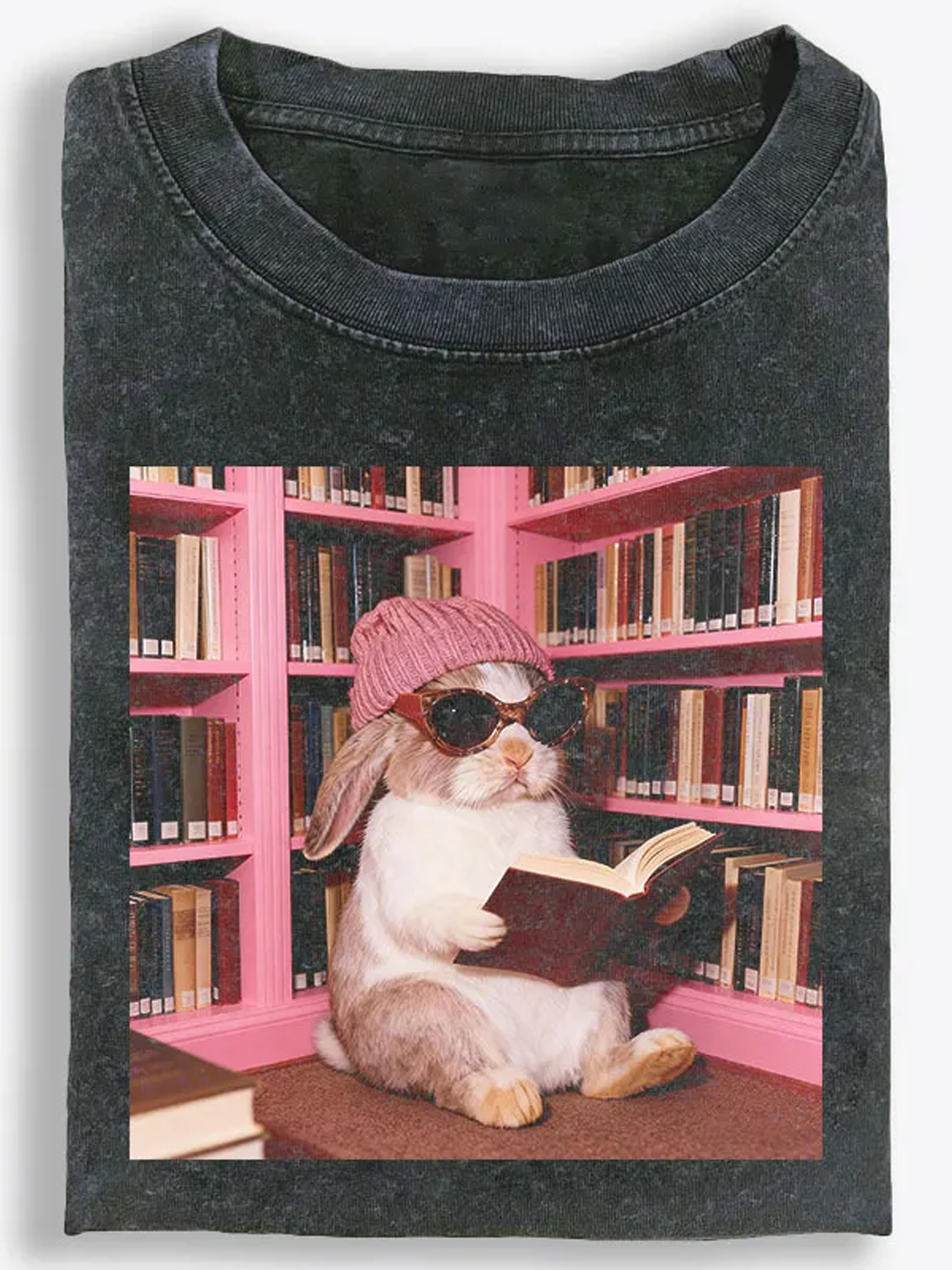 Vintage Washed T-Shirt| RetroClaws
