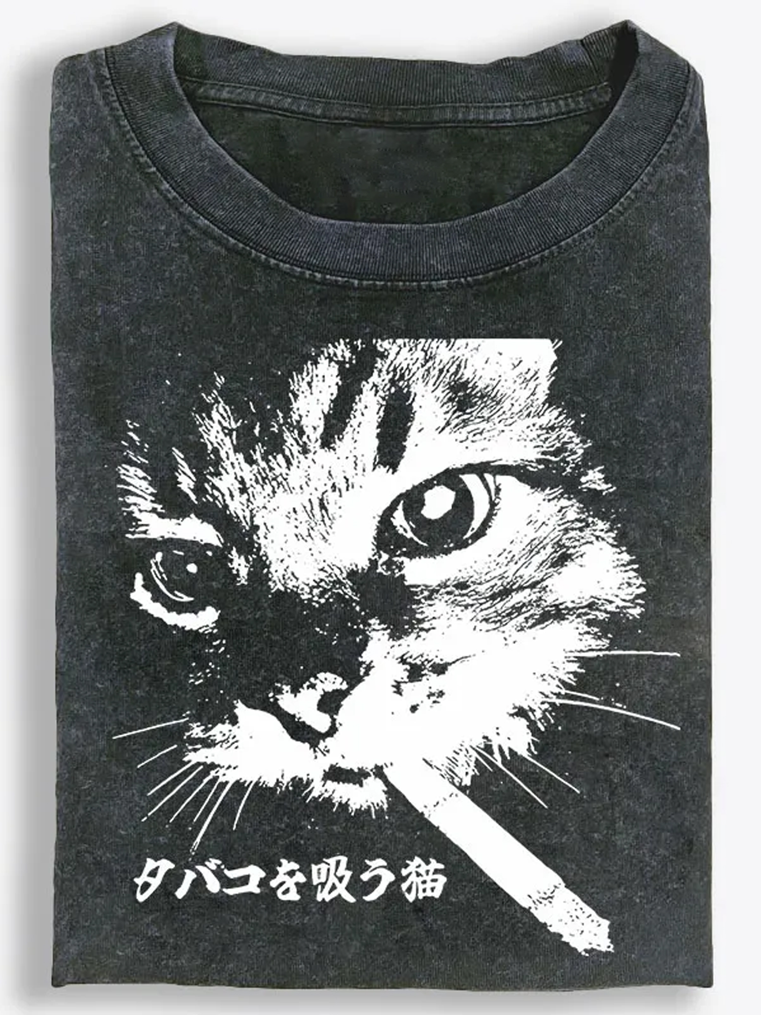 Vintage Washed T-Shirt| RetroClaws