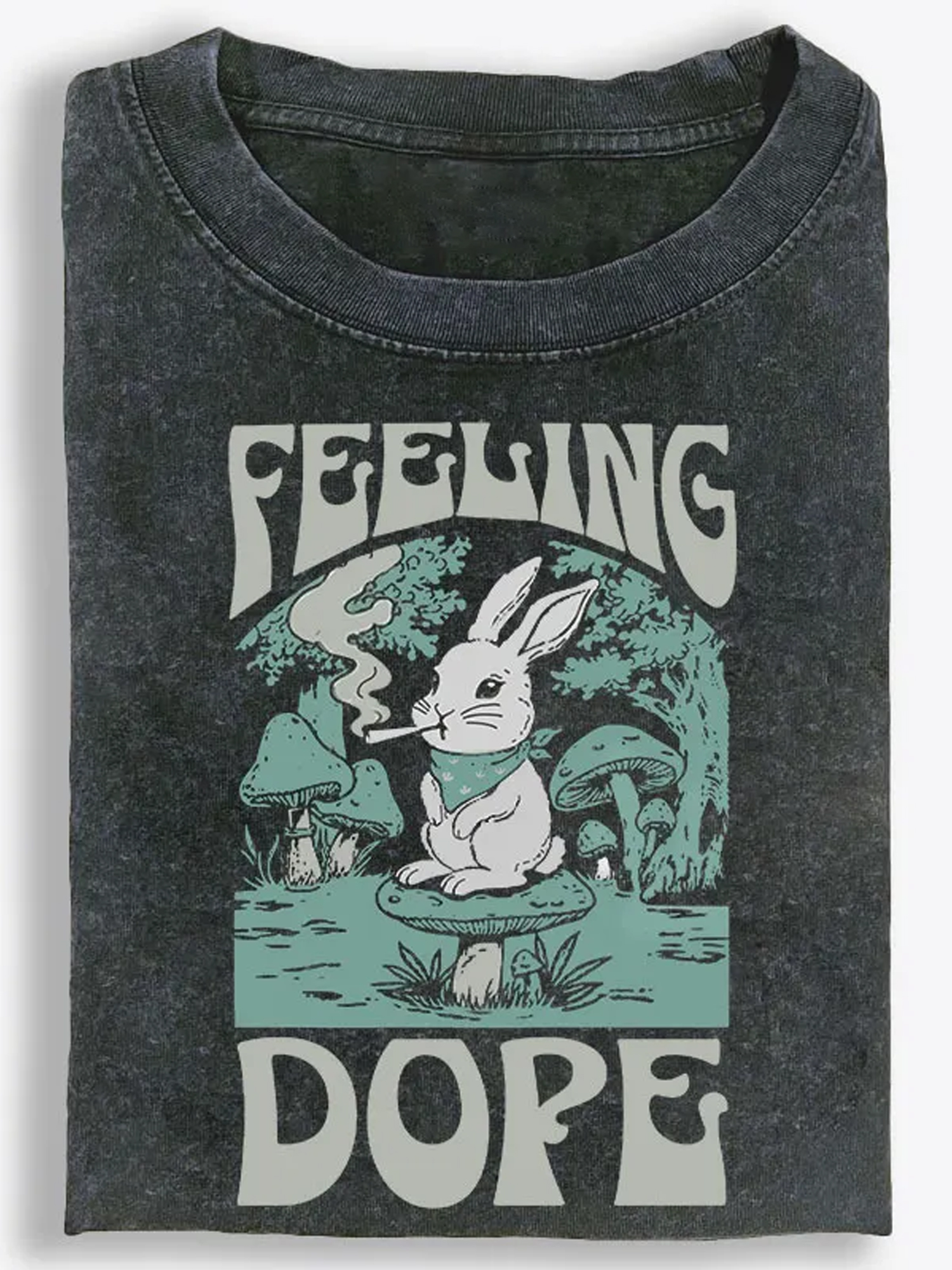 Vintage Washed T-Shirt| RetroClaws