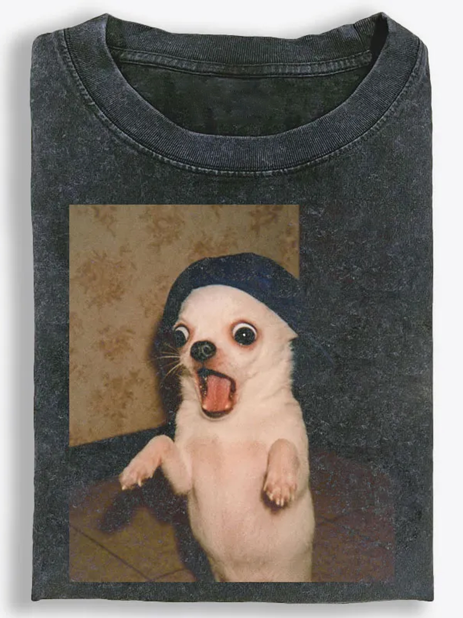Vintage Washed T-Shirt| RetroClaws