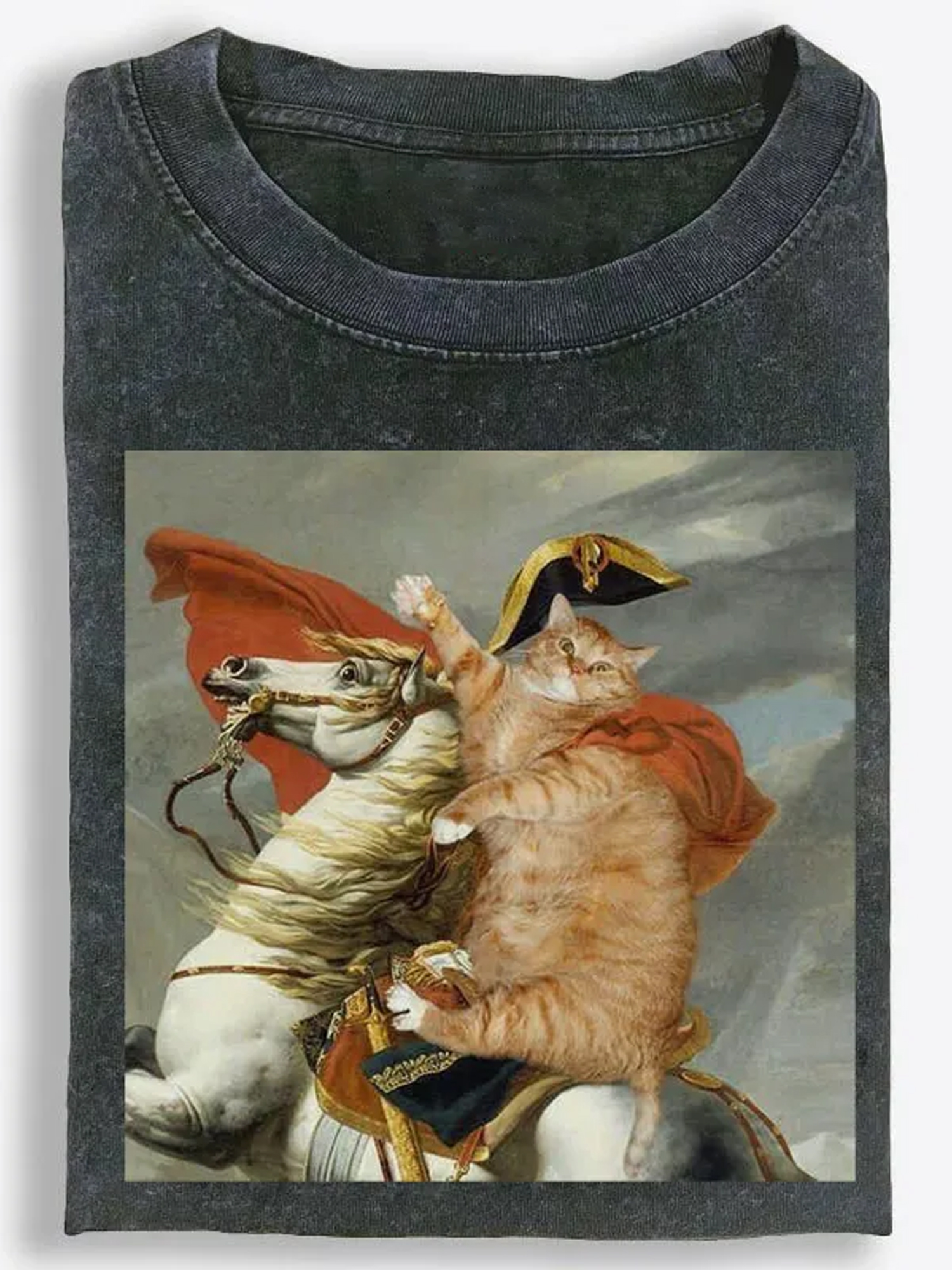 Vintage Washed T-Shirt| RetroClaws