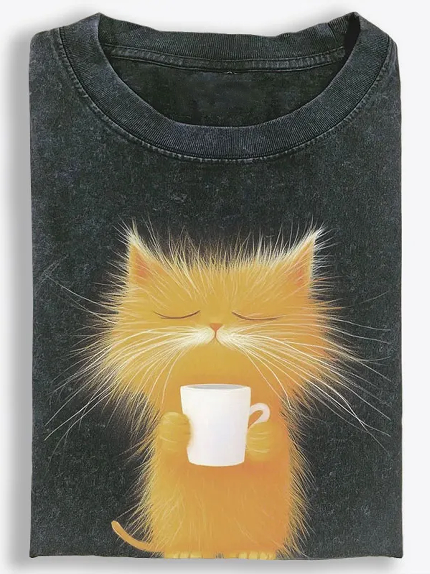 Vintage Washed T-Shirt| RetroClaws