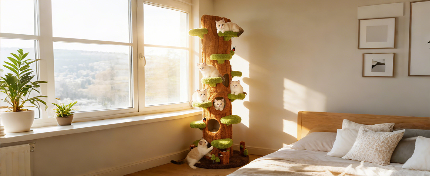 cat tree for indoor cats large adult