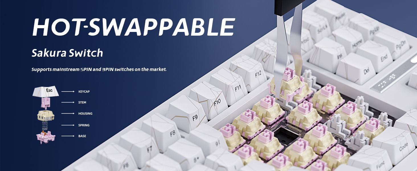 Hot Swappable Mechanical Keyboard