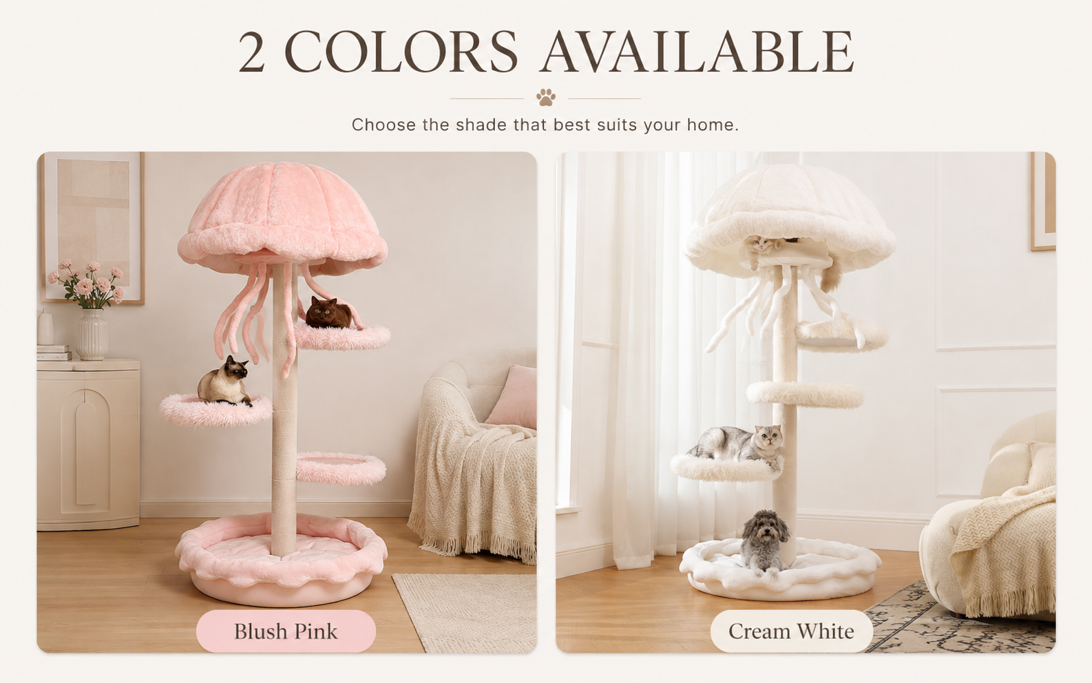 Why Pets Love Jellyfish Cat Tree