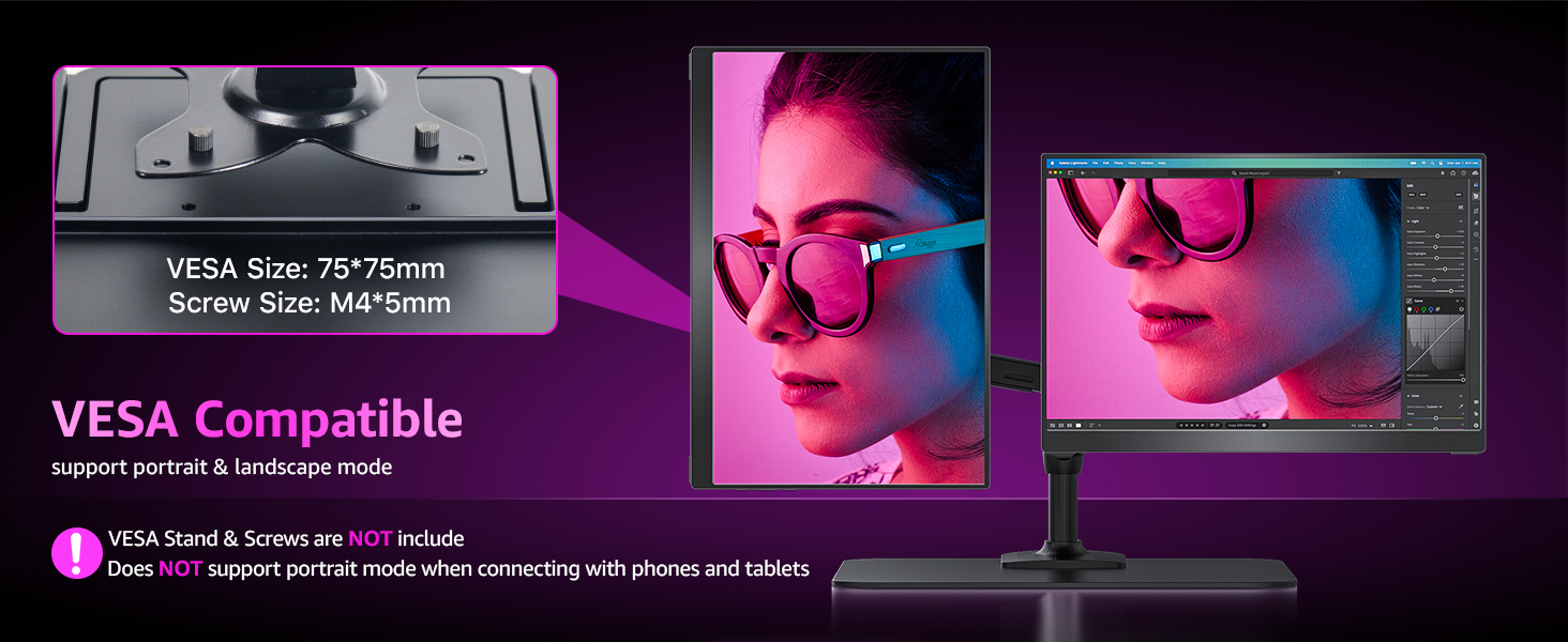 VESA compatible portable monitor