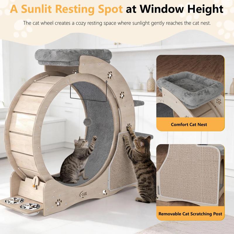 NAVINE Rueda de ejercicio para gatos de 40" para gatos de interior, cinta de correr para gatos con nido, rueda con cierre de seguridad, rascador, casita, escalera y comedero.