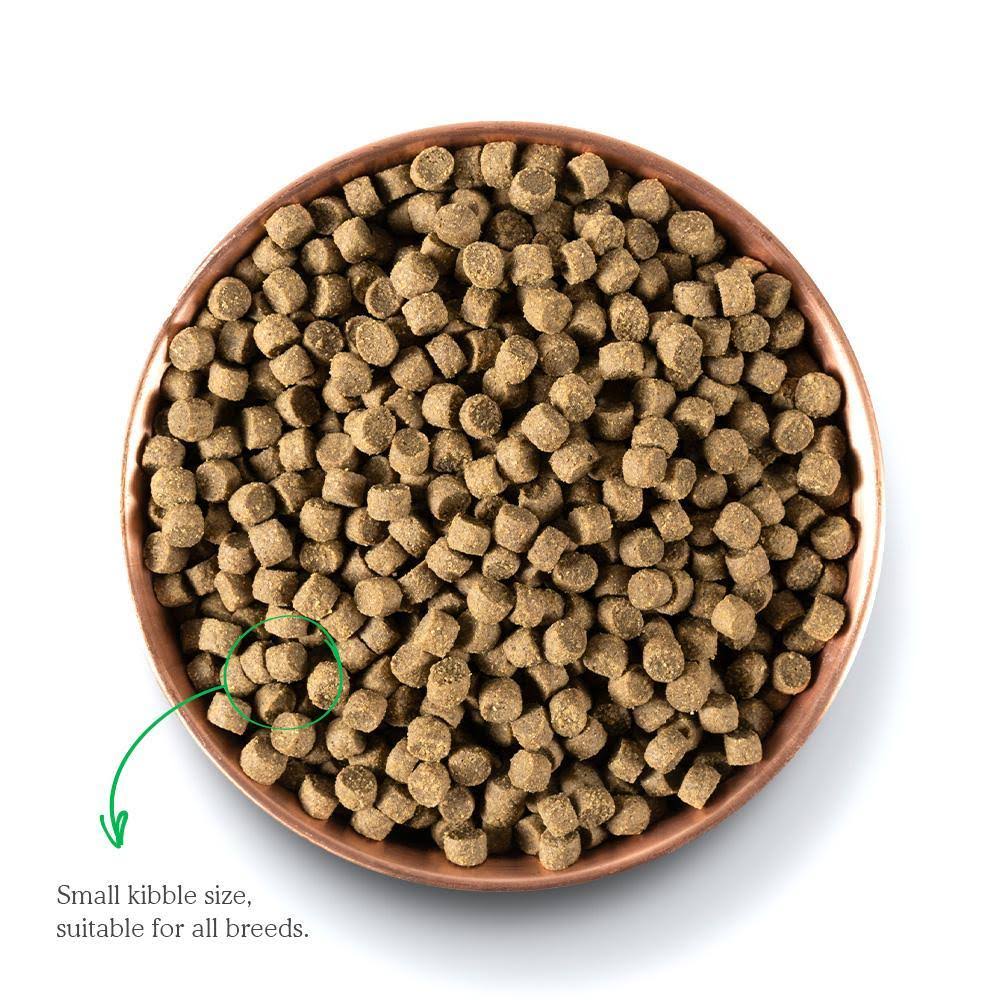 Open Farm Wild Caught Salmon u0026 Ancient Grains Dry Dog Food, 22 lbs