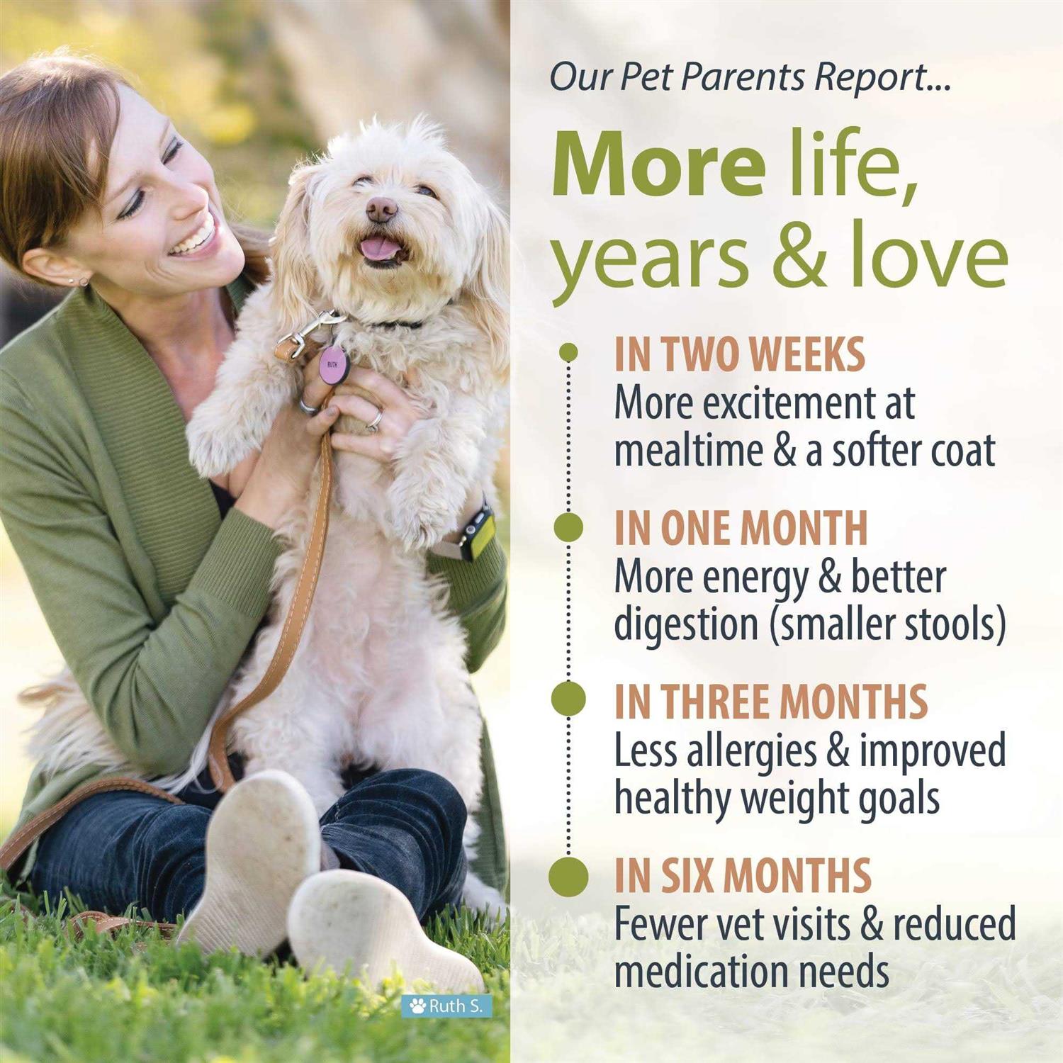JustFoodForDogs Renal Support Low Protein Diet - Pet Supplies online store